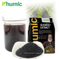 Plant Biostimulants Seaweed extraction ascophyllum nodosum liquid seaweed extract organic npk fertilizer